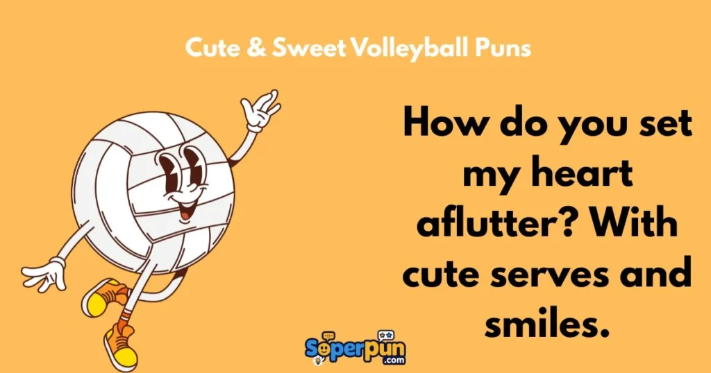 Cute And Sweet Volleyball Puns