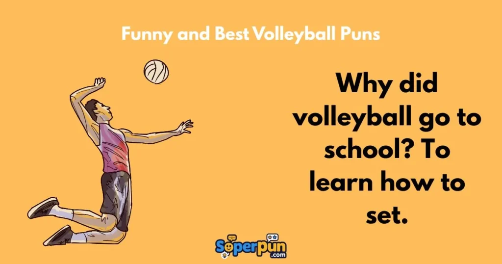 Funny And Best Volleyball Puns