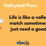 Volleyball Puns