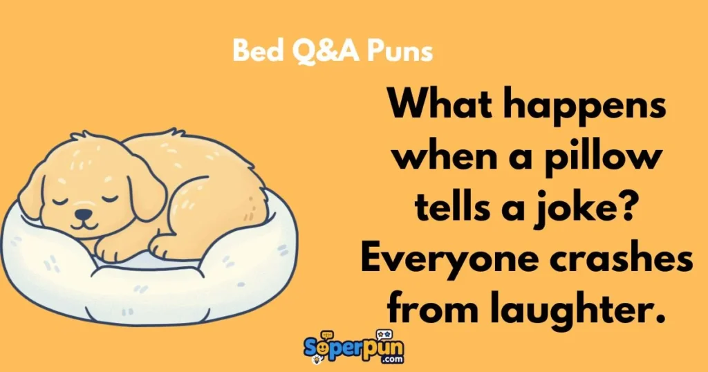 Bed Qanda Puns