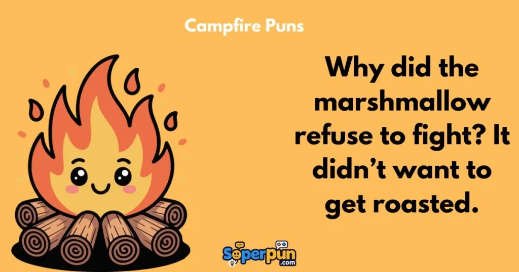 Campfire Puns