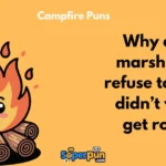 Campfire Puns