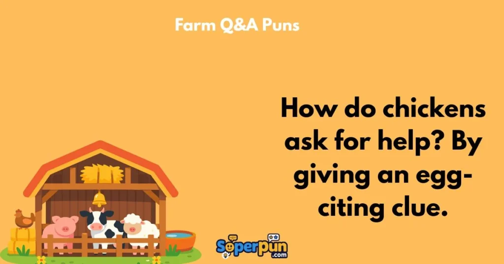 Farm Qanda Puns