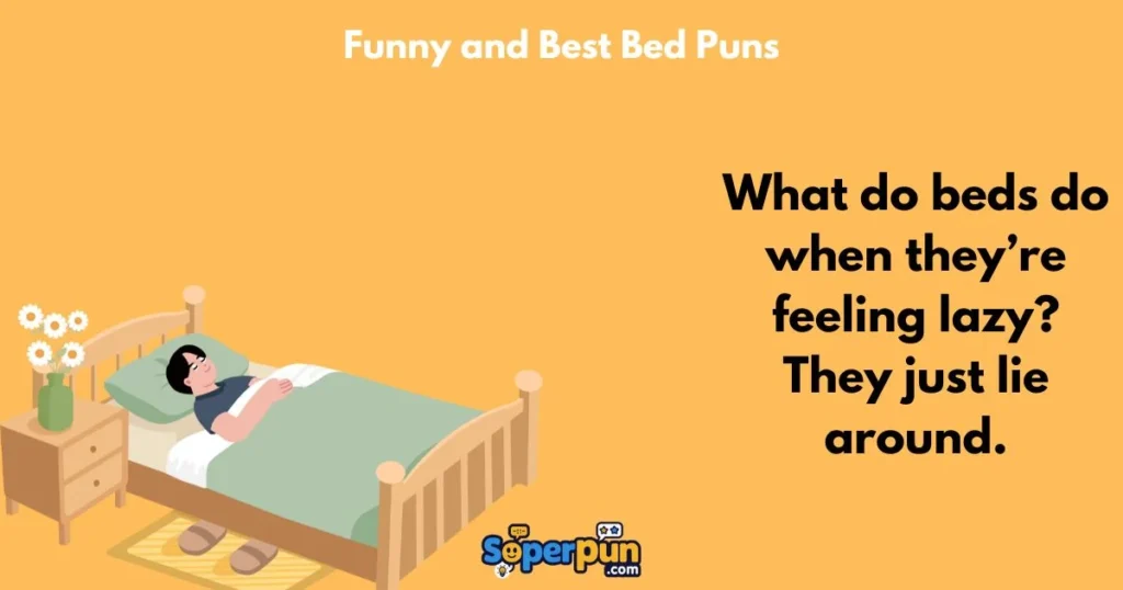 Funny And Best Bed Puns
