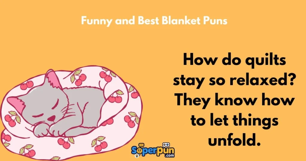 Funny And Best Blanket Puns