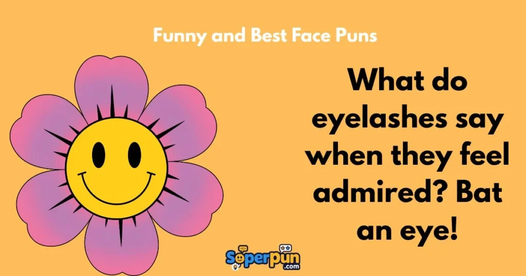 Funny And Best Face Puns