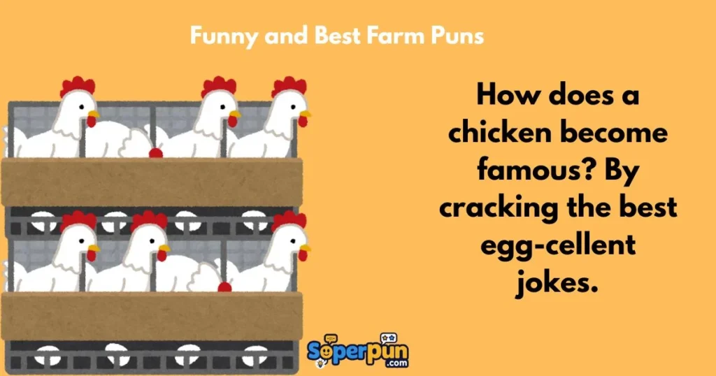 Funny And Best Farm Puns