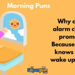 Morning Puns