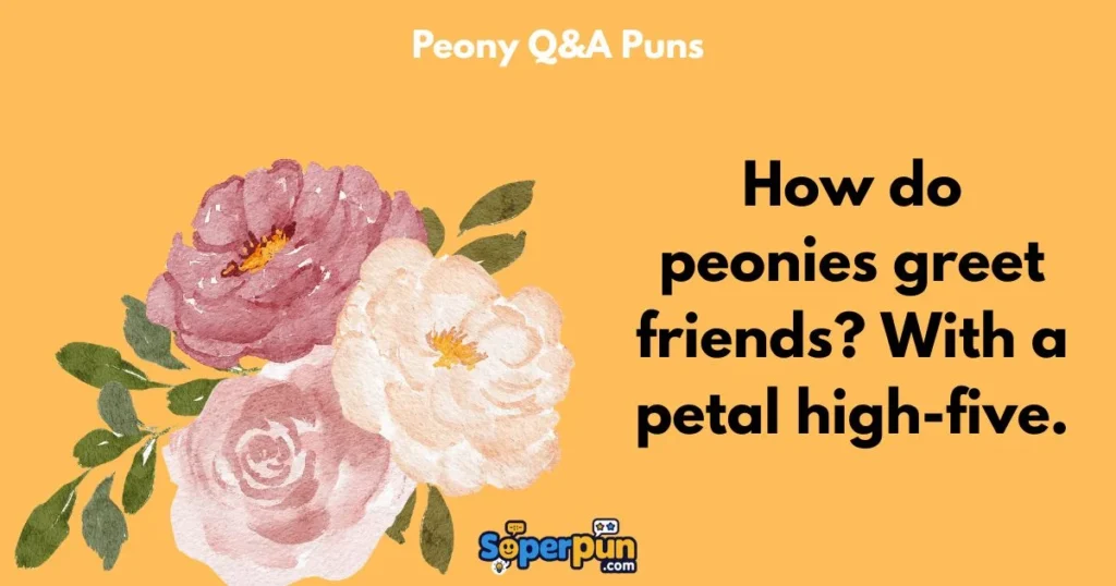 Peony Qanda Puns