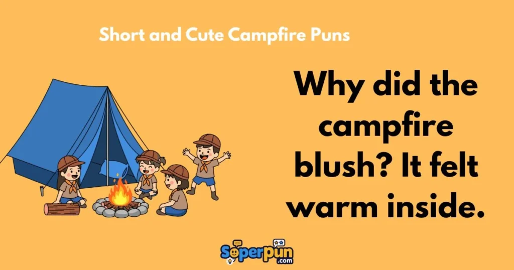 Short And Cute Campfire Puns