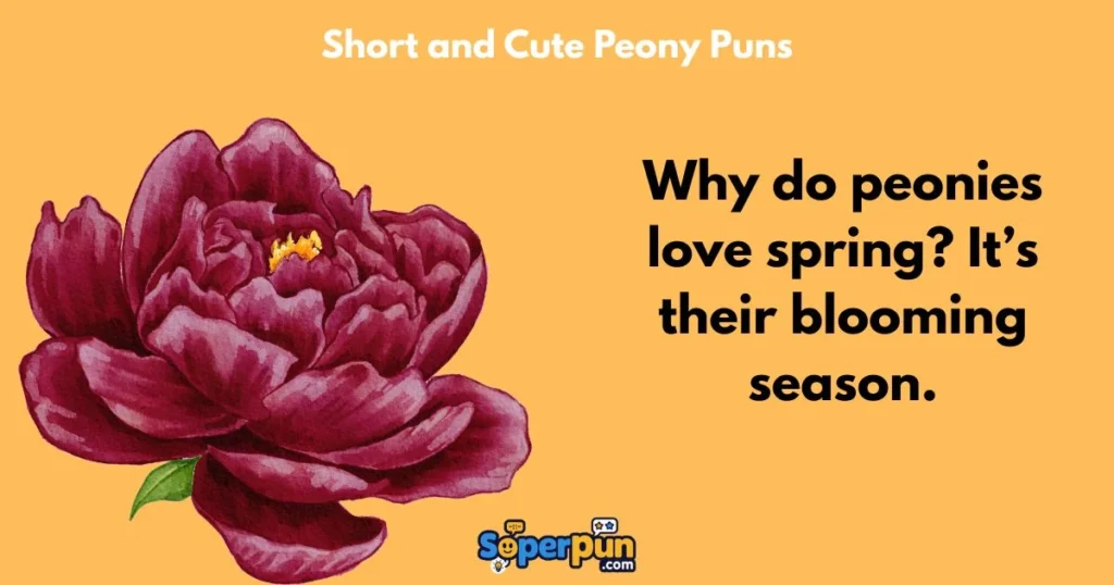 Short And Cute Peony Puns