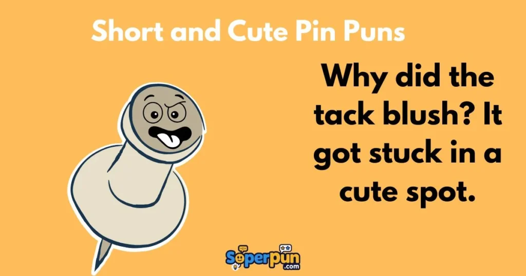 Short And Cute Pin Puns