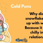 Cold Puns