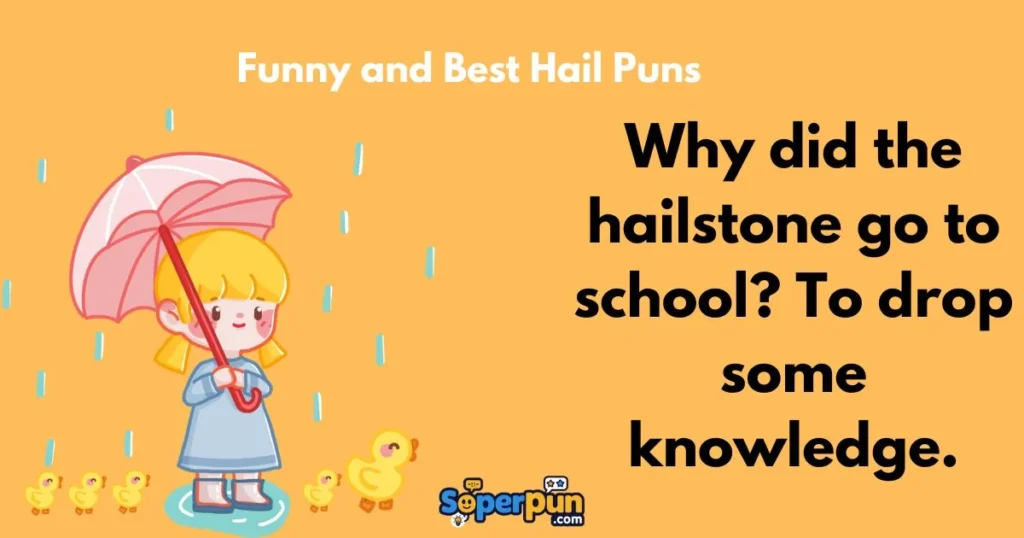 Funny And Best Hail Puns