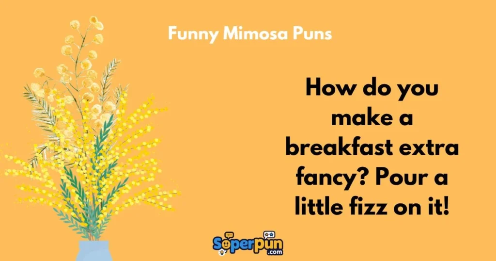 Funny Mimosa Puns