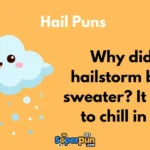 Hail Puns