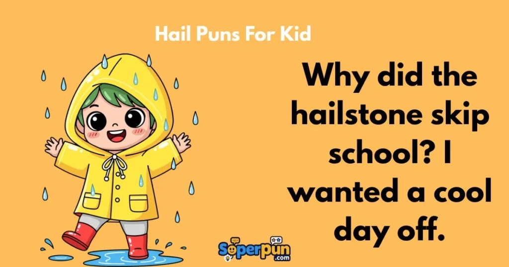 Hail Puns For Kid