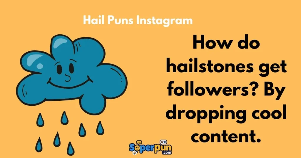 Hail Puns Instagram
