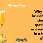 Mimosa Puns