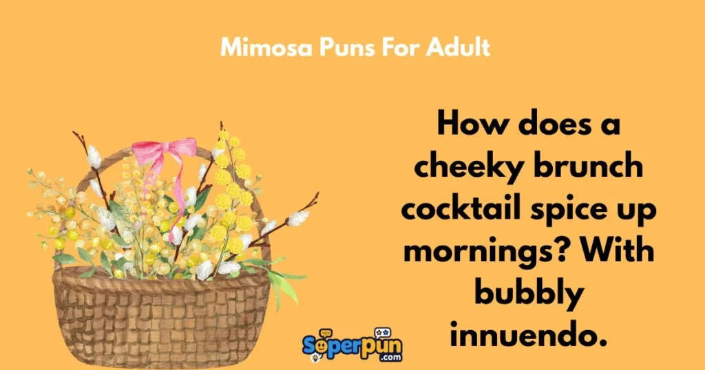 Mimosa Puns For Adult
