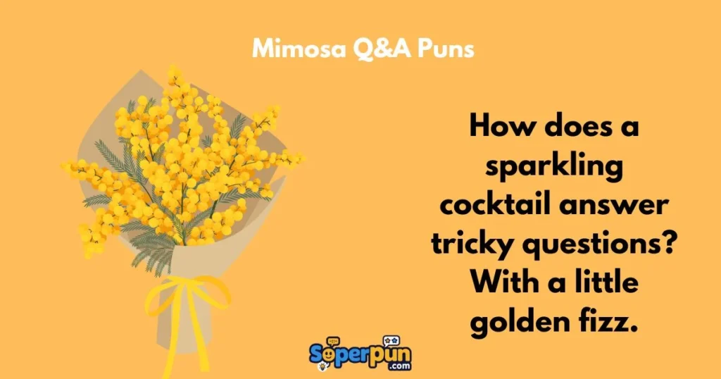 Mimosa Qanda Puns
