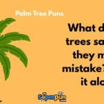 Palm Tree Puns