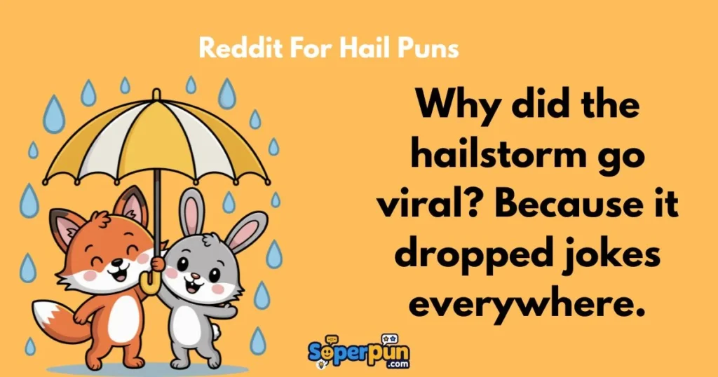 Reddit For Hail Puns