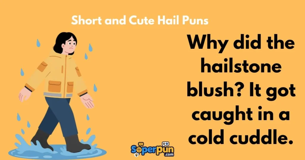 Short And Cute Hail Puns