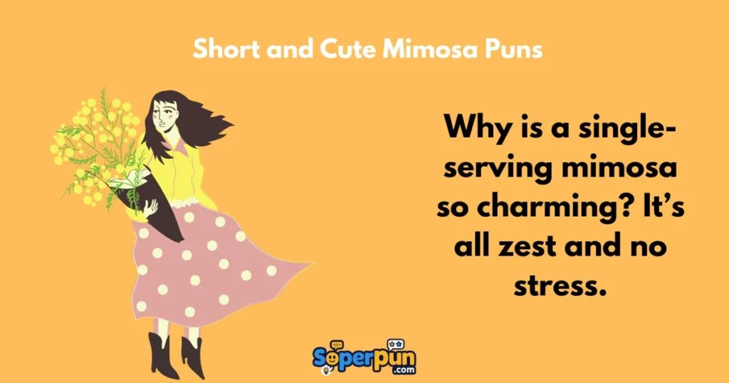 Short And Cute Mimosa Puns