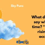 Sky Puns