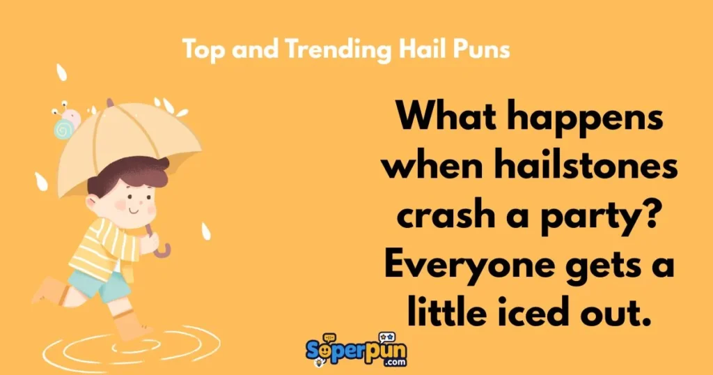 Top And Trending Hail Puns