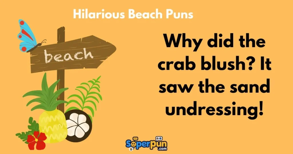 Hilarious Beach Puns
