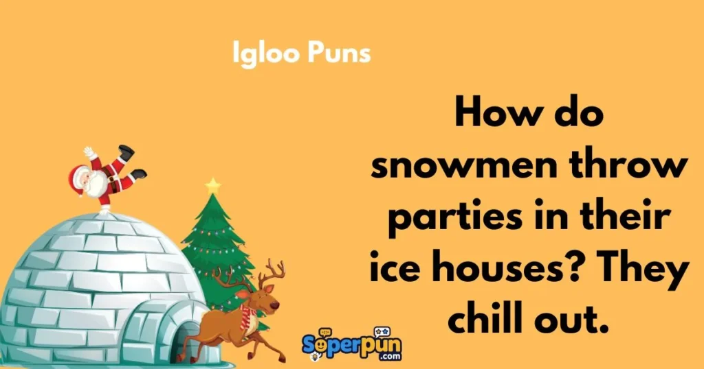 Igloo Puns