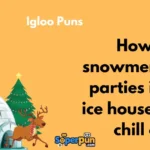 Igloo Puns