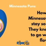 Minnesota Puns