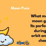 Moon Puns