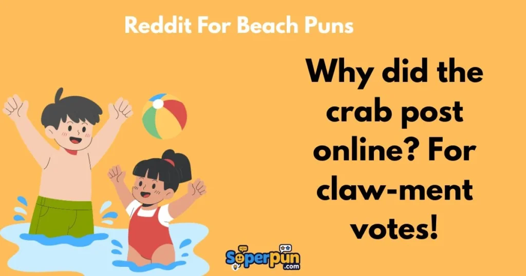 Reddit For Beach Puns