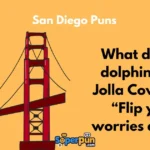 San Diego Puns