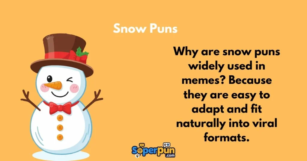 Snow Puns