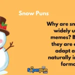 Snow Puns