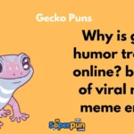 Gecko Puns