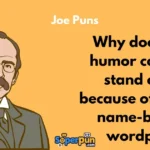 Joe Puns