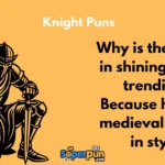 Knight Puns