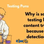 Testing Puns