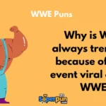 Wwe Puns