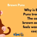 Brown Puns 1
