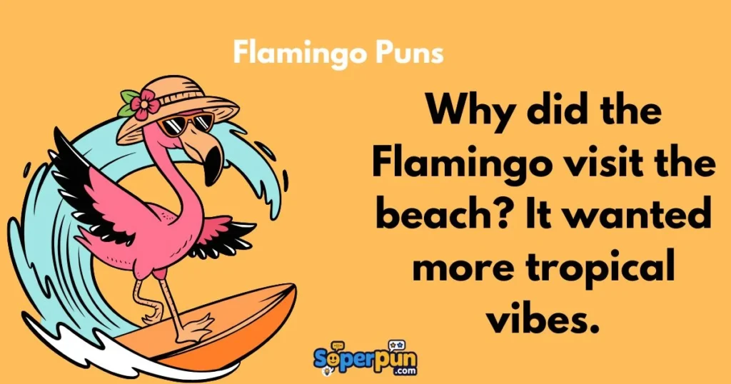 Flamingo Puns
