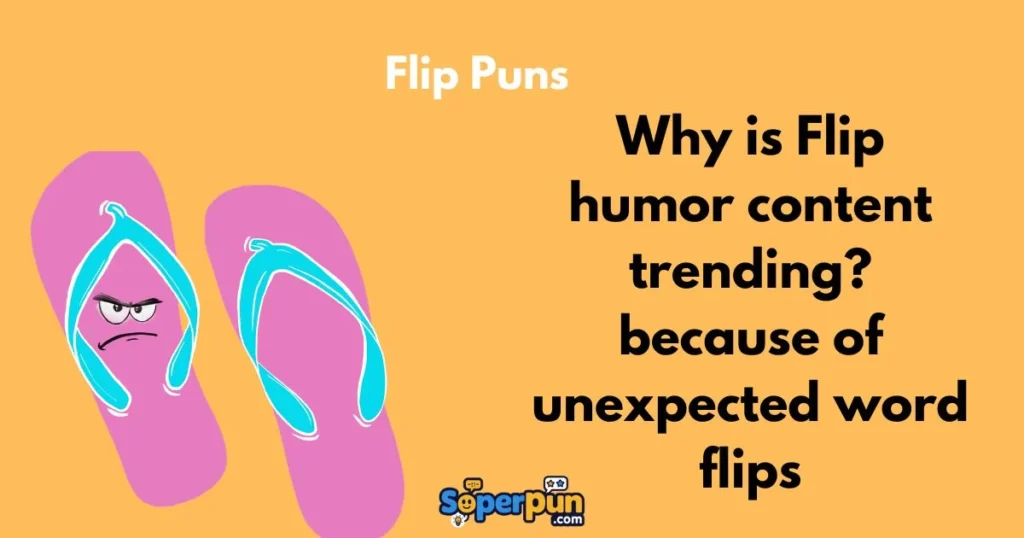 Flip Puns 1