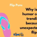 Flip Puns 1