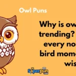Owl Puns